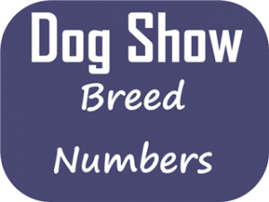 Breed Numbers – Classic Dog Show 9 July